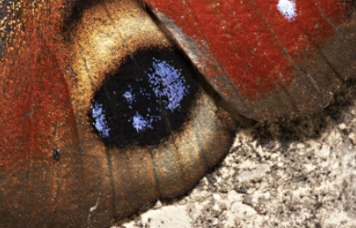 detail3