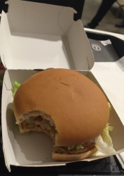 junkfood3