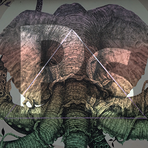 olifant